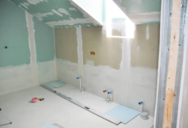 Best Black Mold Removal  in Waukegan, IL