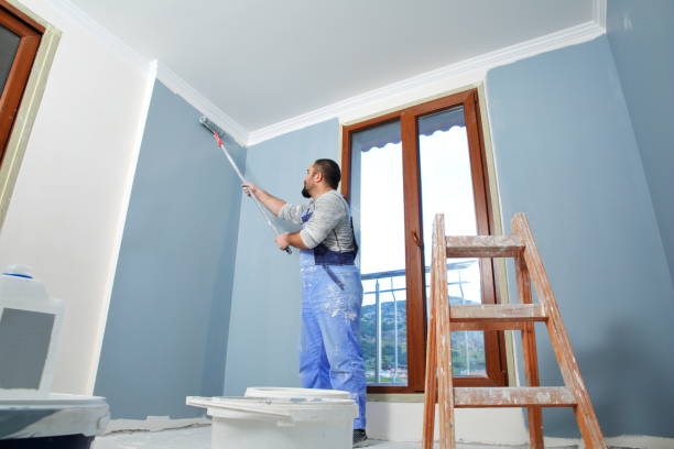 Mold Odor Removal Services in Waukegan, IL