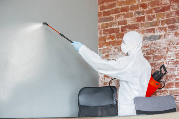 Best Emergency Mold Remediation  in Waukegan, IL