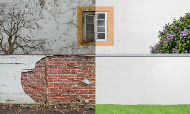 Best Airborne Mold Testing  in Waukegan, IL